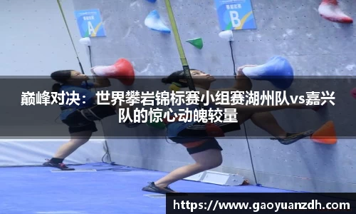 球速体育