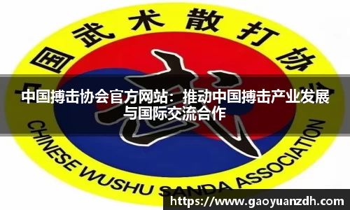球速体育官方网站