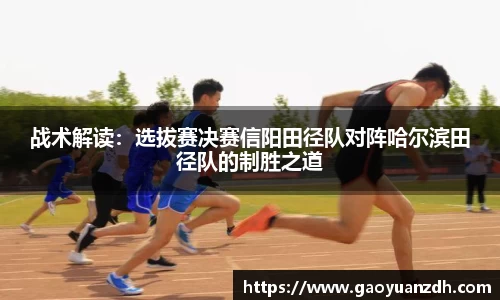 球速体育