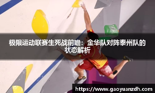 球速体育官网