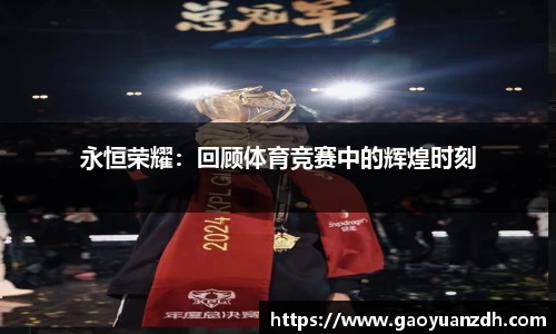 球速体育官网